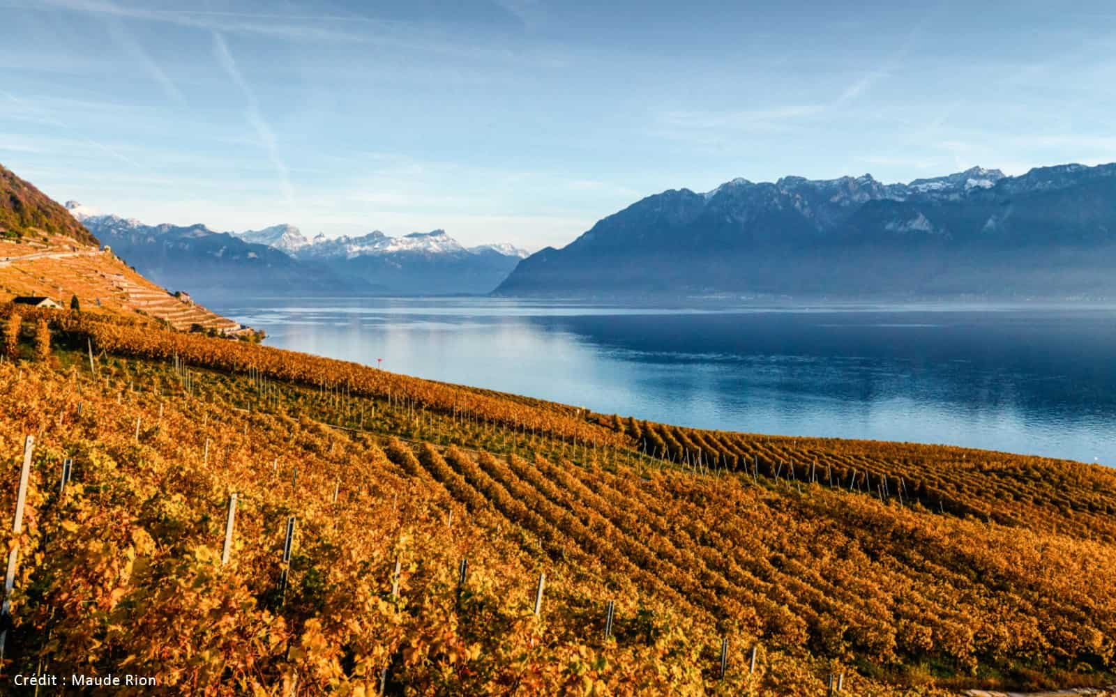Lavaux_Automne_credit_Maude_Rion